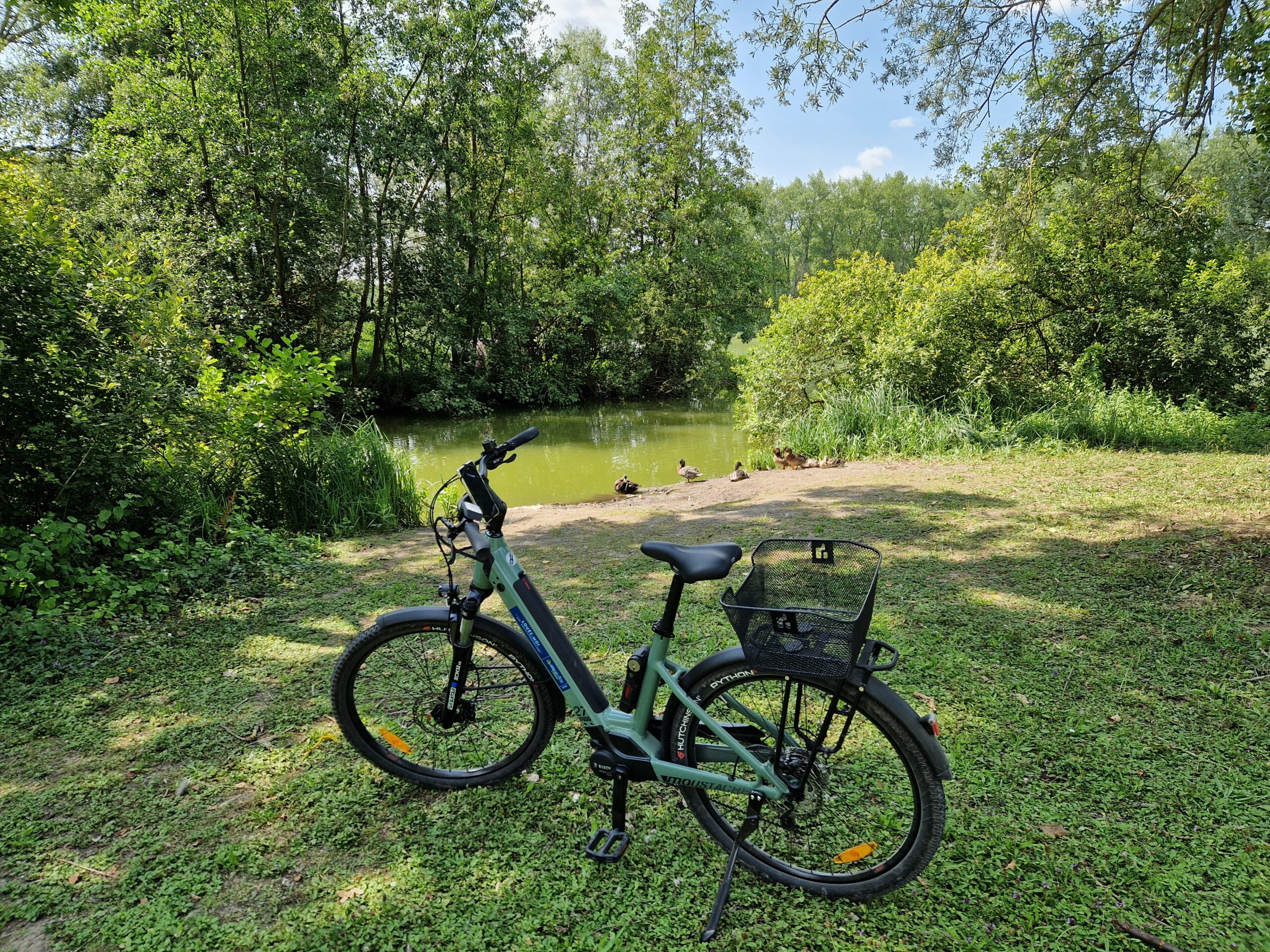 velo